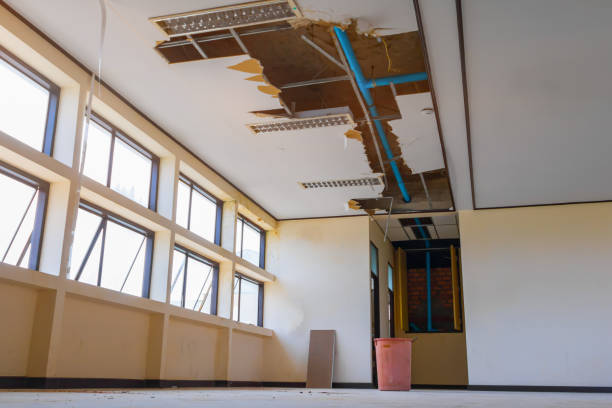 Best Water damage restoration cost  in Brewton, AL