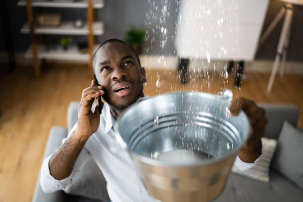 Best 24/7 water damage repair  in Brewton, AL