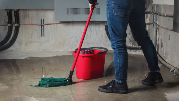 Best Local water damage restoration  in Brewton, AL